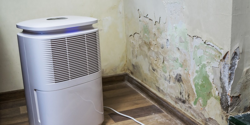 Schilferende verf opgemerkt in huis? Let op voor vochtproblemen